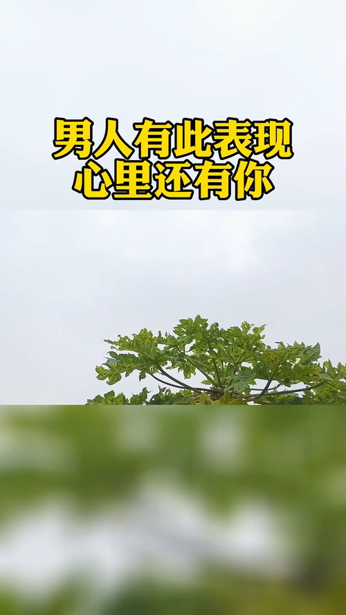 女方心里有人如何挽回,心中有人，如何挽回？