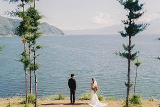 想挽回对象的视频,如何挽回爱情，成功复合！