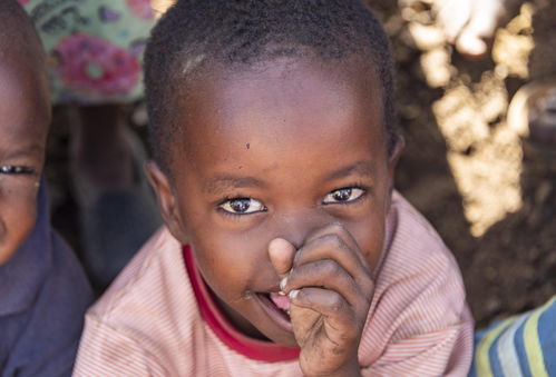 如何慢慢挽回狮子女,挽回狮女的秘籍