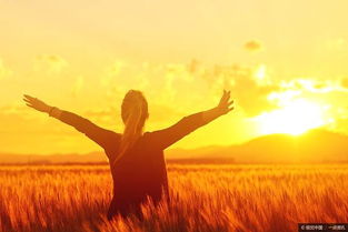 心静挽回舟的意思,平心静气挽回感情