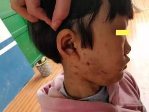 女儿挽回母亲的视频,女儿感人行为