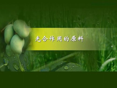 润叶挽回少安,润叶成功挽回少安，爱情升华