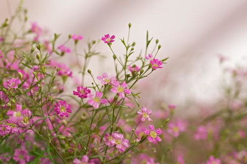 花6800挽回值得吗,花费6800元挽回感情值得吗？