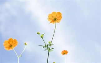 背叛后挽回对方的话,挽回背叛的关系