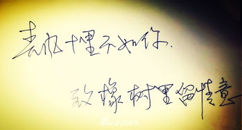 挽回爱情婚姻的诗句,重拾缘爱，执手共君心。