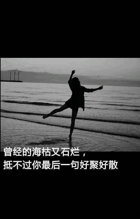 心岸情感挽回公司,挽回爱情专业服务