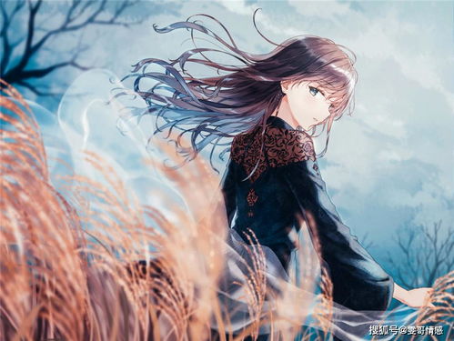 天蝎女主动挽回,挽回爱情：天蝎女倾尽全力