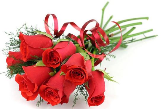 道歉挽回花束文案简短，抱歉致歉，用花束表达对您的歉意