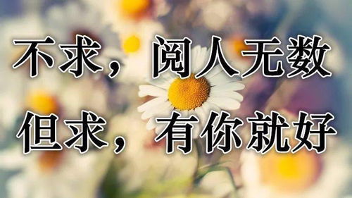 挽回朋友的中秋文案,珍爱友情，共度欢乐——中秋节挽回友谊文案 重写为重温友谊，共话团圆——中秋挽回友情。