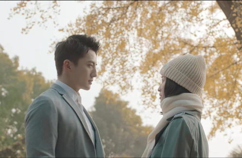 破镜重圆挽回的爱情,爱情弥合，心结解开