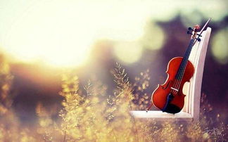 真的不想挽回了,失去了就算了，重头再来