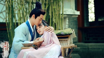 王爷挽回女主,王爷用力感化：追回心怀离愁的女子