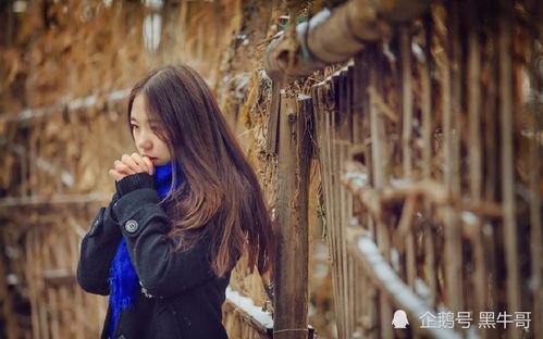 分手半年女生挽回半年,挽回半年，两情依旧