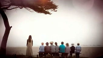 错过了挽回的时机,错失挽回时机的遗憾