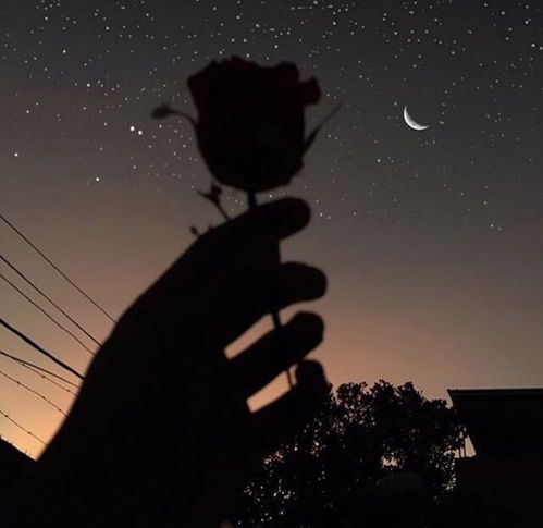 情感挽回心理测试,挽回爱情测试，解析你的情感状态