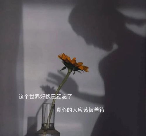 失恋挽回情话1000字,失恋后的挽回情话，感情重获新生！