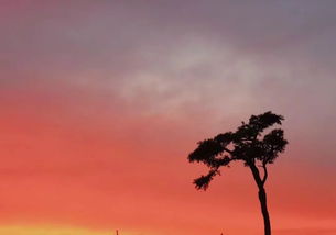 正能量的挽回视频,一段挽回正能量的温暖视频