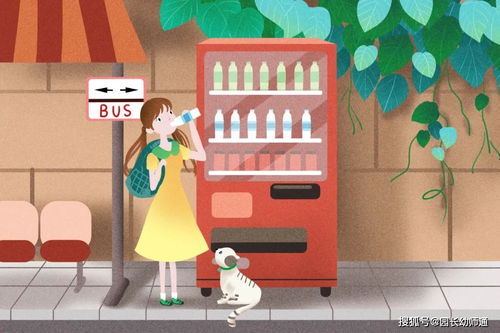 挽回前女友花镇,如何挽回前女友——实用指南)