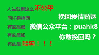 挽回情感公司有哪些,挽回爱情公司有哪些