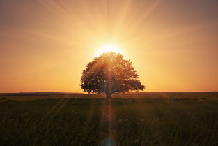 如何挽回以前的关系,重建前缘，重拾旧情