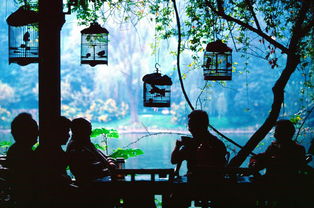 成都有爱情感挽回，感动成都的爱情故事