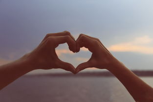 怎样挽回失望的金牛，挽回失望的金牛：恢复信任的关键