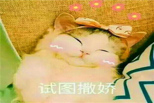 对不起女朋友该怎么挽回，如何让女友心甘情愿地回到你身边