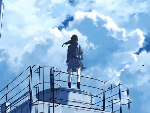 怎么挽回消失的水瓶,水瓶消失，如何挽回？