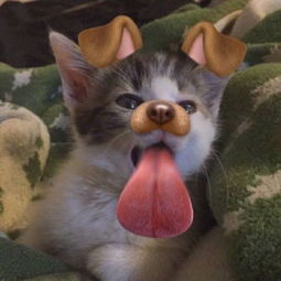 当上舔狗如何挽回,被甩后如何挽回，学会当上舔奴