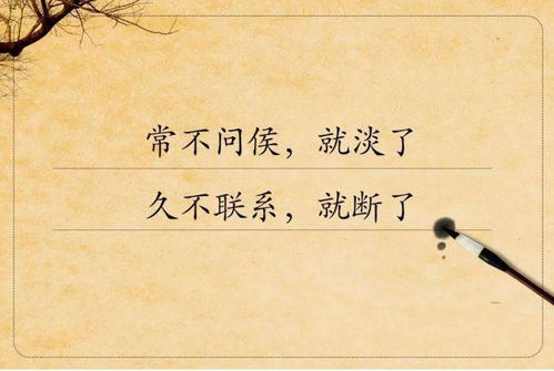 爱情挽回语录作文初中,爱情的力量-助你挽回爱情