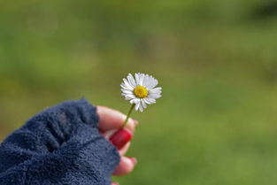 爱人错过了怎么挽回，如何挽回错过的爱情