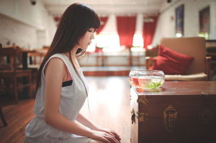 挽回前女友台阶,如何走出挽回前女友的困境