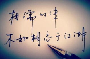 缘尽何必去挽回,没有必要挽回缘分已尽