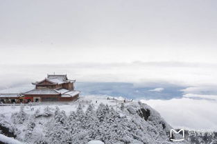 峨眉山情感挽回,峨眉山见证感情重圆