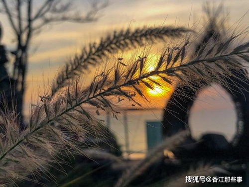 重新挽回灰姑娘,如何让灰姑娘重新获得幸福？