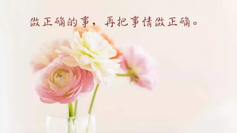 挽回女友壁纸简约小众,简约又小众的挽回女友桌面