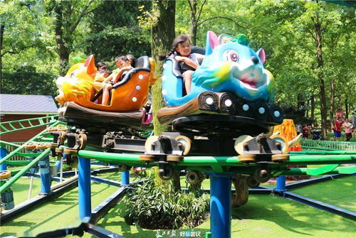 挽回男友攻略坐过山车,挽回男友攻略-乘坐过山车