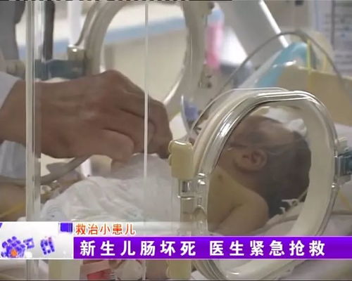 到底怎么才能挽回胎儿,如何有效挽回胎儿的生命？