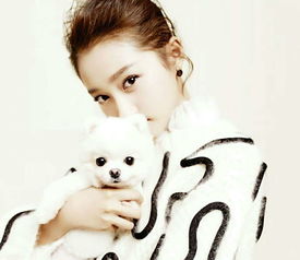 怎么挽回女友的心理,如何挽回女友的心思？