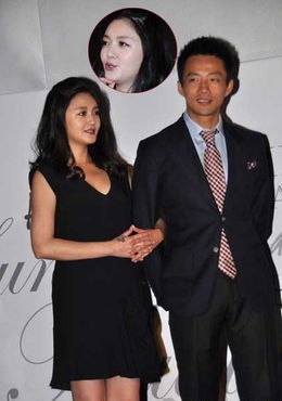 胡定欣离婚后怎么挽回,胡定欣离婚后的感情修复之路