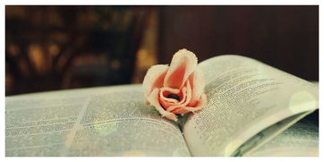 如何挽回摩羯男生,赢回摩羯男心的方法