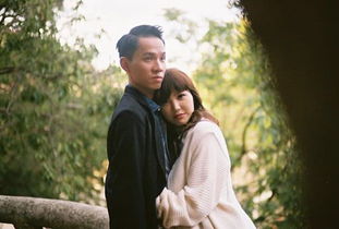 挽回她TXT陈真,挽回女神心