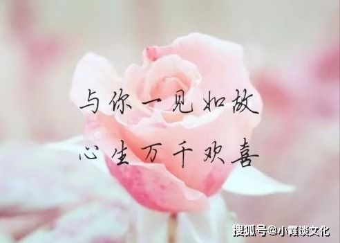 感情想挽回的说说,失恋后要做的5件事