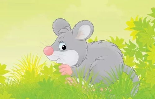 属猪该如何挽回婚姻,属猪夫妻如何重修旧好