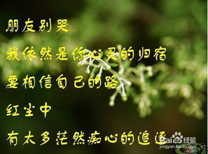 暧昧挽回贺卡男朋友,用贺卡诉说心声，重拾男友爱情