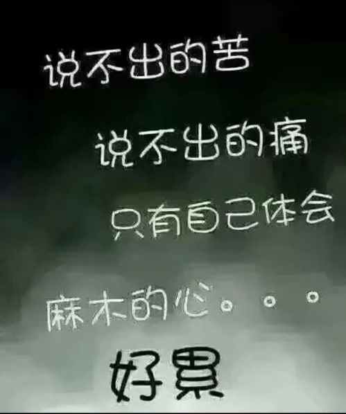 表示放弃挽回的文案,放下执念，放手前行