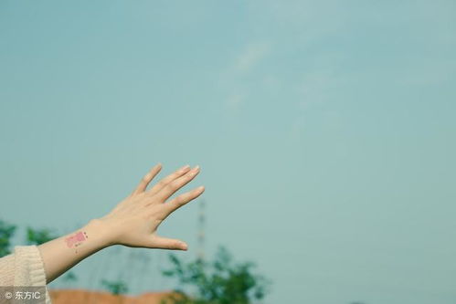 如何挽回男人的信任,如何重建男人信任