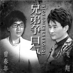 怎么挽回兄弟关系呢,如何修复兄弟情？-兄弟情重建攻略