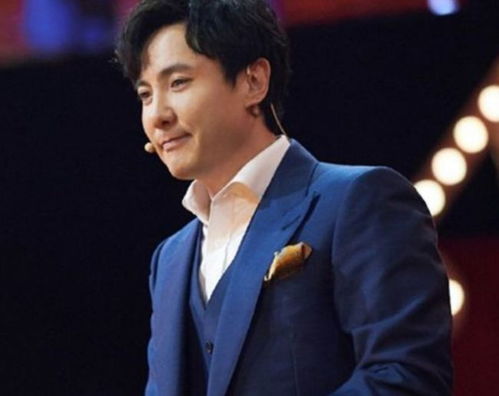 沈腾挽回王琦,沈腾成功挽回婚姻，王琦重拾幸福