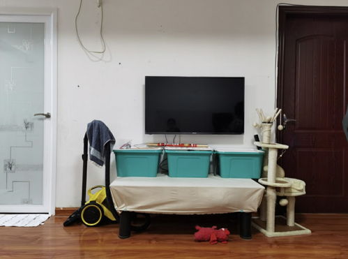 租房床头挂挽回前任,租房解忧，重拾旧爱